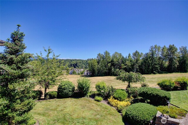 1408 Alpine View Pl, Mount Vernon, WA 98274 - photo 35