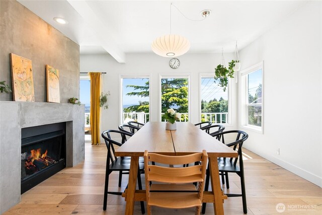 600 SW Cloverdale St, Seattle, WA 98106 - dining space with plenty of natural light, light wood finished floors, a high end fireplace, and recessed lighting
