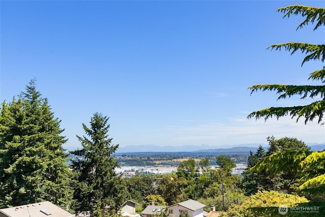 600 SW Cloverdale St, Seattle, WA 98106 - water view featuring a mountainous background