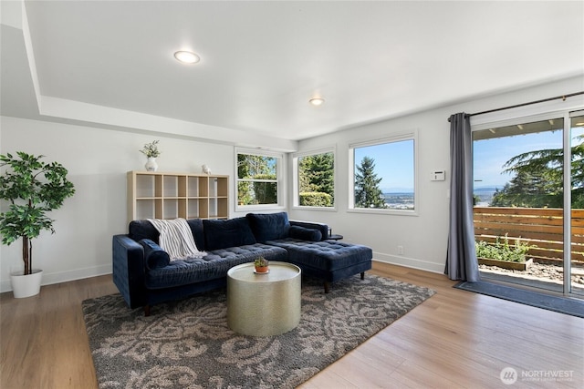 600 SW Cloverdale St, Seattle, WA 98106 - living area featuring plenty of natural light, wood finished floors, and recessed lighting