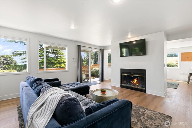600 SW Cloverdale St, Seattle, WA 98106 - living area featuring healthy amount of natural light, light wood-style flooring, a glass covered fireplace, and recessed lighting