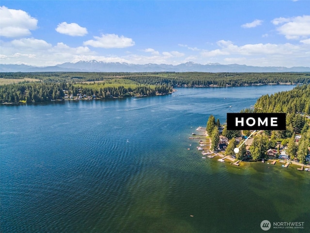 20 E Shore Ct, Grapeview, WA 98546 - water view with a mountain backdrop and a forest