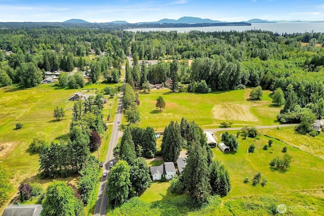 8597 Harborview Rd, Blaine, WA 98230 - bird's eye view of a water and mountain view and a heavily wooded area