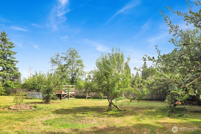 8597 Harborview Rd, Blaine, WA 98230 - view of yard