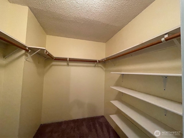 8597 Harborview Rd, Blaine, WA 98230 - spacious closet featuring carpet floors