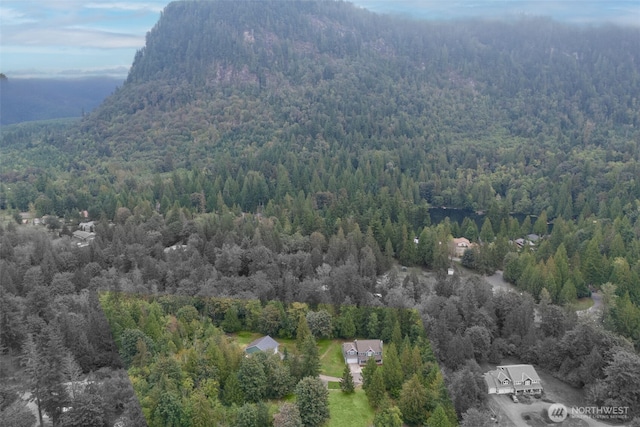 37406 323rd Ave SE, Enumclaw, WA 98002 - photo 30