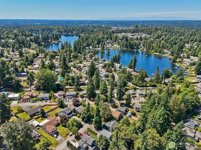 26125 221st Pl SE, Maple Valley, WA 98038 - photo 2