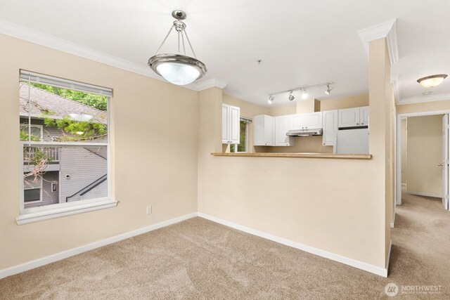 33020 10th Ave SW Unit 301, Federal Way, WA 98023 - kitchen featuring fridge, under cabinet range hood, light carpet, ornamental molding, and decorative light fixtures