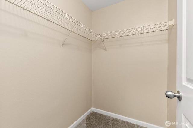 33020 10th Ave SW Unit 301, Federal Way, WA 98023 - walk in closet with dark colored carpet