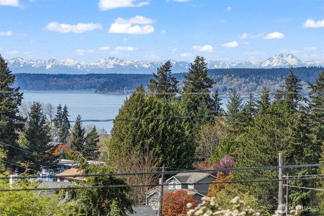 6909 E E Side Dr NE, Tacoma, WA 98422 - photo 26