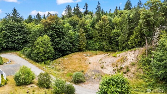 16819 88th St NW, Vaughn, WA 98394 - photo 11