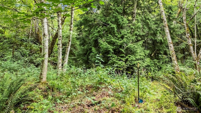 16819 88th St NW, Vaughn, WA 98394 - photo 15
