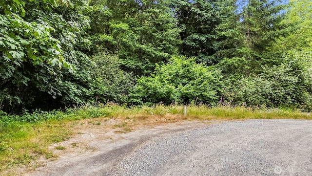 16819 88th St NW, Vaughn, WA 98394 - photo 18