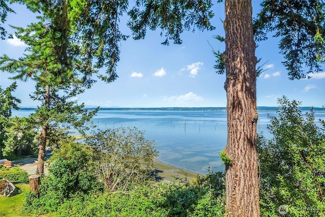 19904 Soundview Dr NW, Stanwood, WA 98292 - photo 21