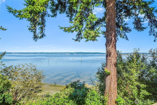 19904 Soundview Dr NW, Stanwood, WA 98292 - photo 22