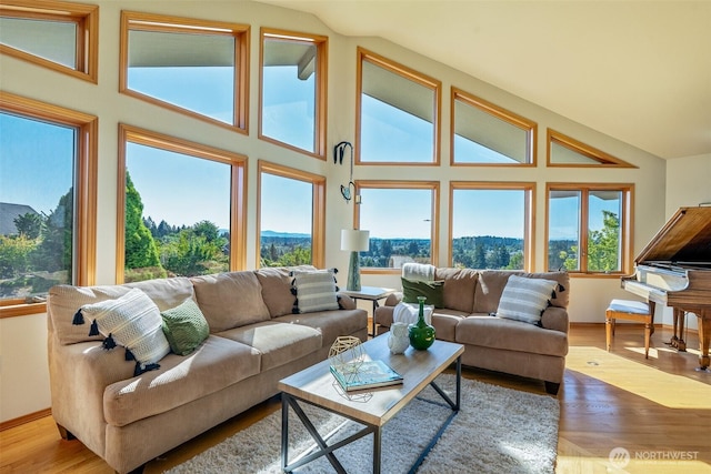 8705 Fenwick Loop SE, Olympia, WA 98513 - living area featuring vaulted ceiling and wood finished floors
