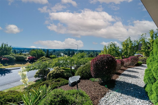8705 Fenwick Loop SE, Olympia, WA 98513 - view of yard