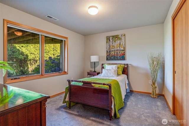 8705 Fenwick Loop SE, Olympia, WA 98513 - carpeted bedroom with baseboards