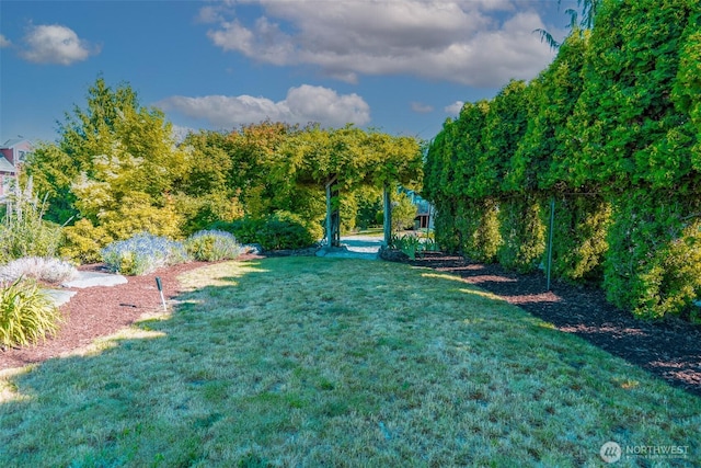 8705 Fenwick Loop SE, Olympia, WA 98513 - view of green lawn