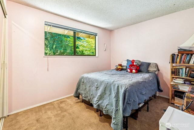 18818 181st Pl NE, Woodinville, WA 98077 - photo 23