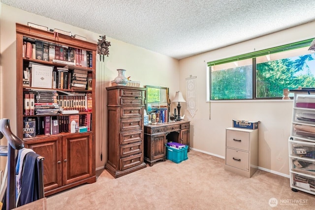 18818 181st Pl NE, Woodinville, WA 98077 - photo 24
