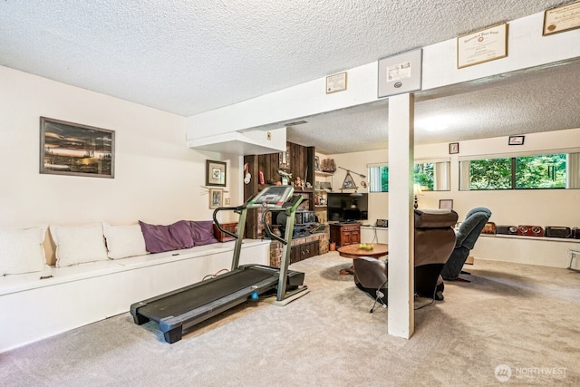 18818 181st Pl NE, Woodinville, WA 98077 - photo 28