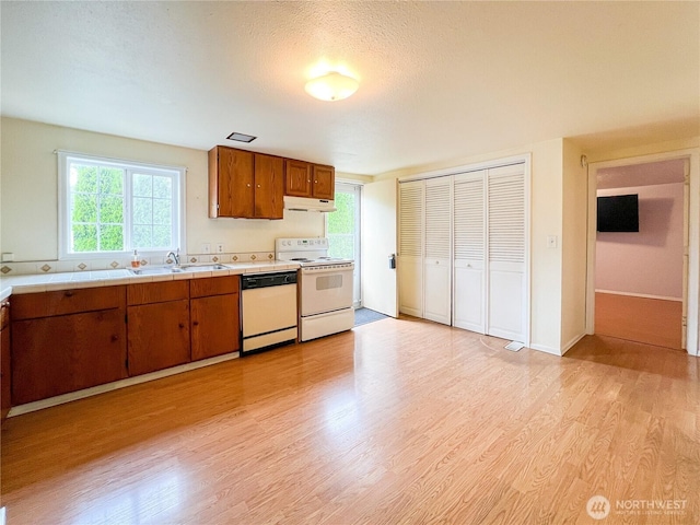 518 Edson St, Lynden, WA 98264 - photo 6