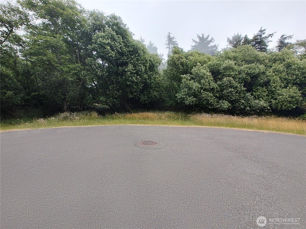 660 Alder Ct NE, Ocean Shores, WA 98569 - photo 2