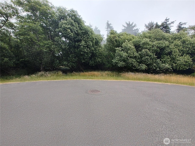 660 Alder Ct NE, Ocean Shores, WA 98569 - photo 2