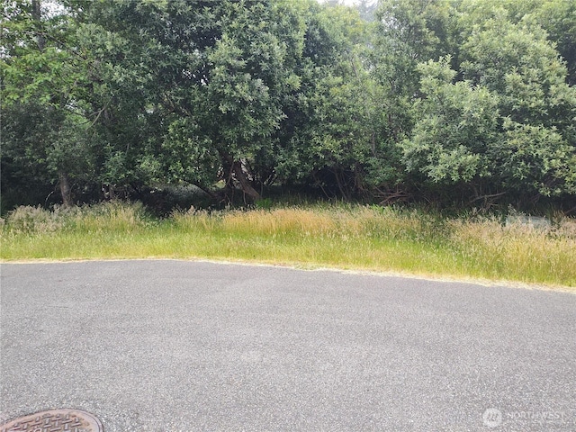 660 Alder Ct NE, Ocean Shores, WA 98569 - photo 3