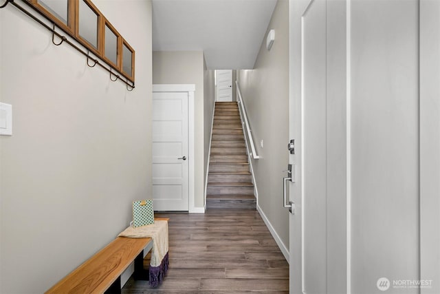5690 Sunstone Pl Unit 101, Ferndale, WA 98248 - staircase with wood finished floors and baseboards