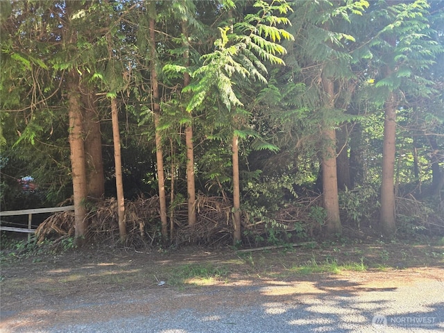 0 Baker Dr, Concrete, WA 98237 - photo 7