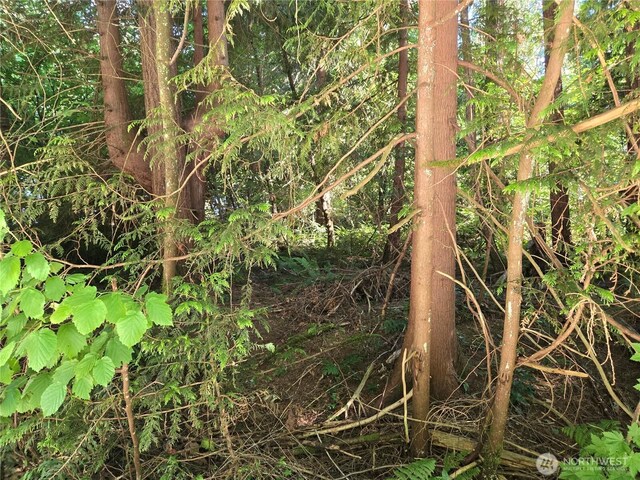 0 Baker Dr, Concrete, WA 98237 - photo 12
