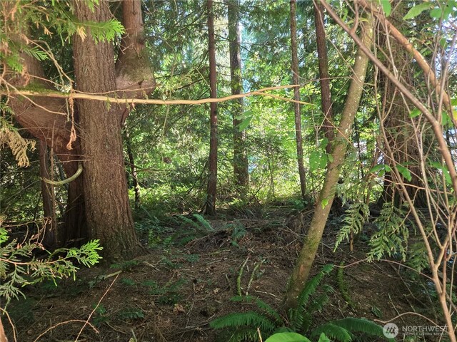 0 Baker Dr, Concrete, WA 98237 - photo 17