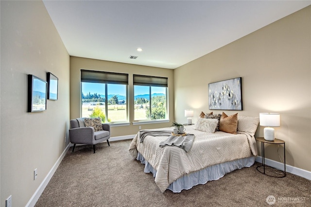 73 Sable Ct, Sequim, WA 98382 - carpeted bedroom featuring baseboards and recessed lighting