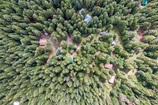 58504 Wildwood Loop, Weston, OR 97886 - photo 29