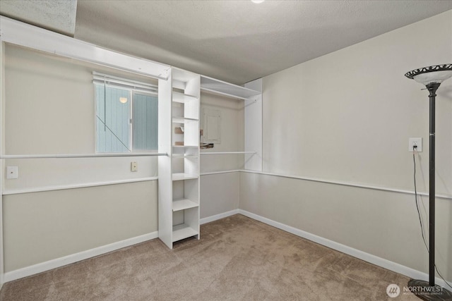 14416 4th Ave E, Tacoma, WA 98445 - walk in closet with carpet flooring