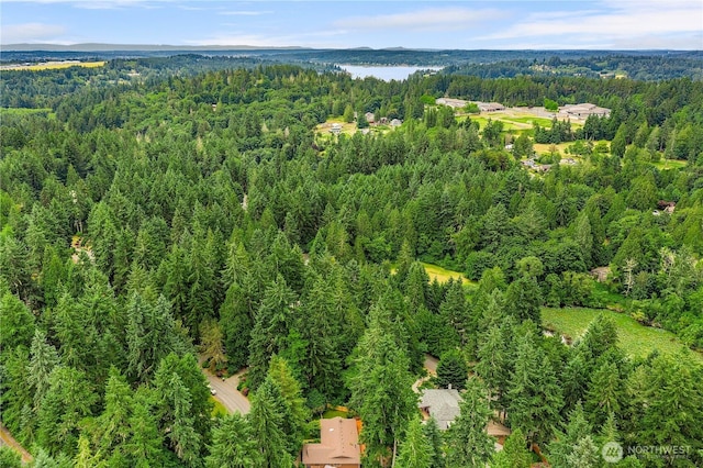 4408 35th Ave, Gig Harbor, WA 98335 - photo 25
