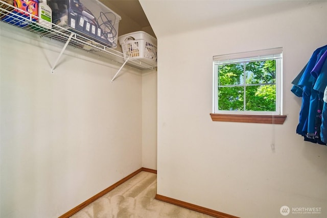22727 NE 4th Pl Unit 117, Sammamish, WA 98074 - walk in closet with carpet flooring