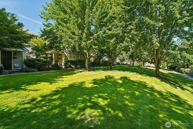 22727 NE 4th Pl Unit 117, Sammamish, WA 98074 - view of green lawn