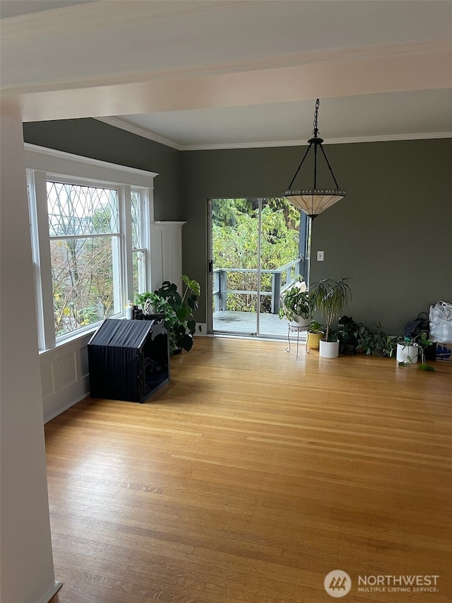 523 N E St, Tacoma, WA 98403 - photo 15