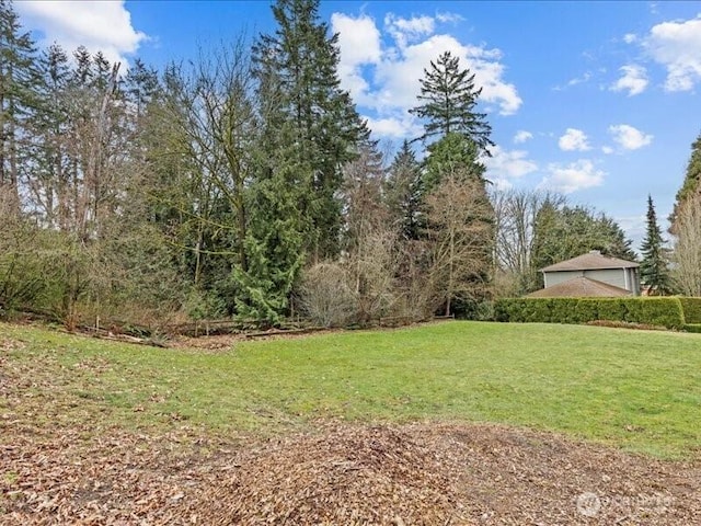 1209 Kirkland Ave, Kirkland, WA 98033 - photo 10