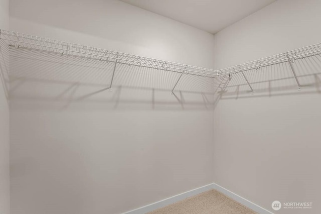 14707 87th Ave SE Unit V5, Snohomish, WA 98296 - walk in closet featuring carpet