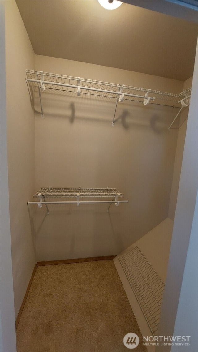 6907 Rainier Dr E Unit 1B, Everett, WA 98203 - walk in closet featuring carpet floors
