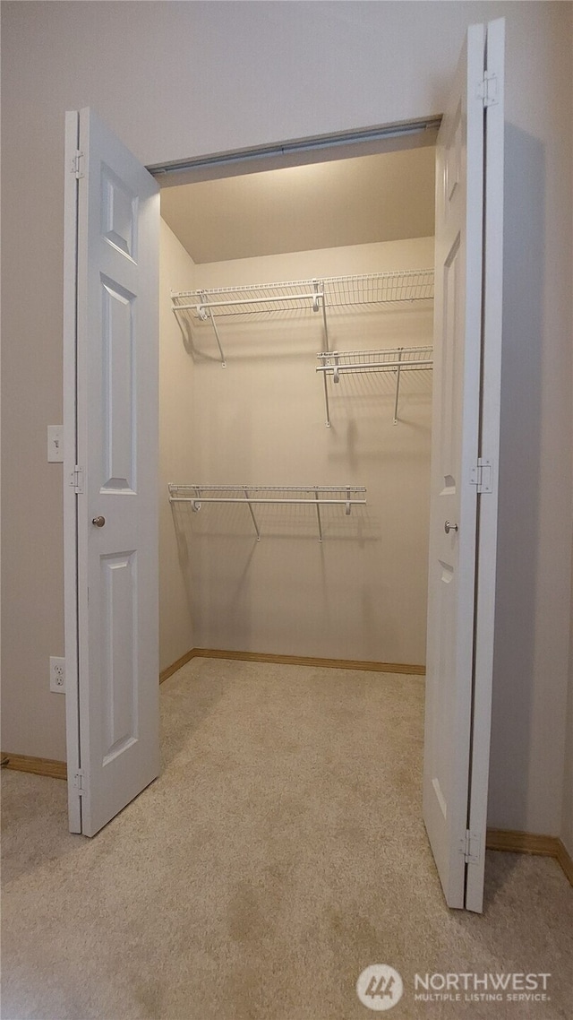 6907 Rainier Dr E Unit 1B, Everett, WA 98203 - spacious closet featuring carpet flooring