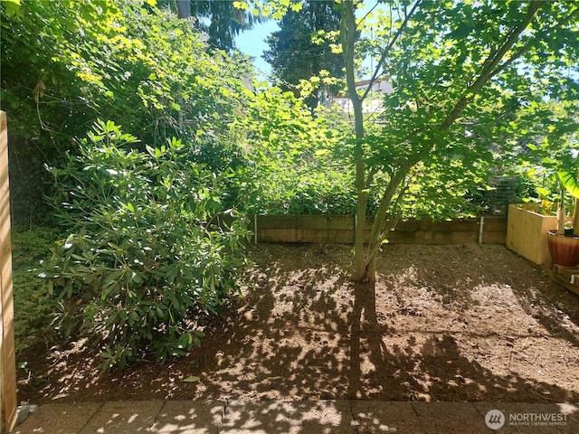 6907 Rainier Dr E Unit 1B, Everett, WA 98203 - view of yard