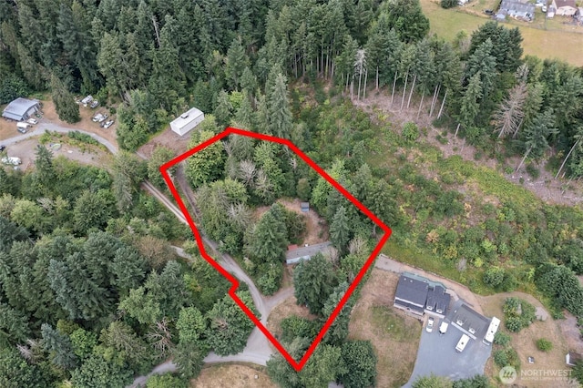 22517 133rd Street Ct E, Orting, WA 98360 - view of property location with property boundaries highlighted and a heavily wooded area