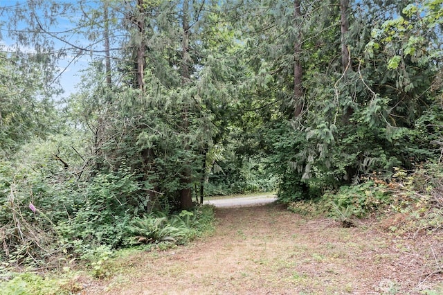 22517 133rd Street Ct E, Orting, WA 98360 - view of yard featuring a forest view