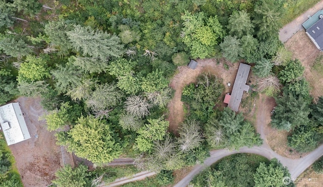 22517 133rd Street Ct E, Orting, WA 98360 - aerial view of property's location