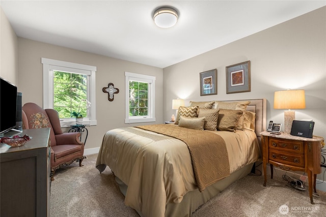 7811 31st St NW, Gig Harbor, WA 98335 - photo 31